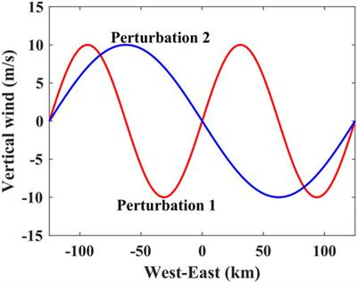 Numerical simulation of the equatorial plasma bubble: the effect of seeding by the vertical winds and random background noise perturbations